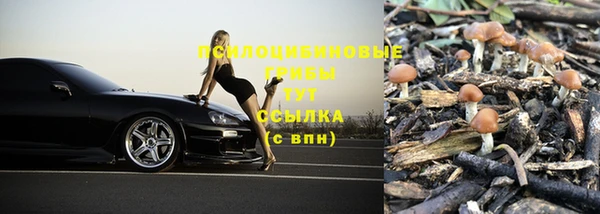 spice Гусев