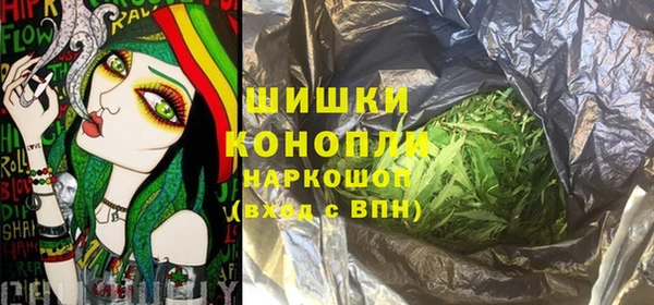 spice Гусь-Хрустальный