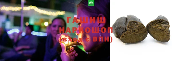 spice Гусев