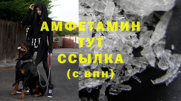 spice Гусев