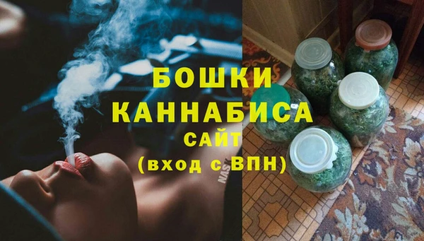 spice Гусев