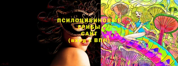 мдпв Кропоткин