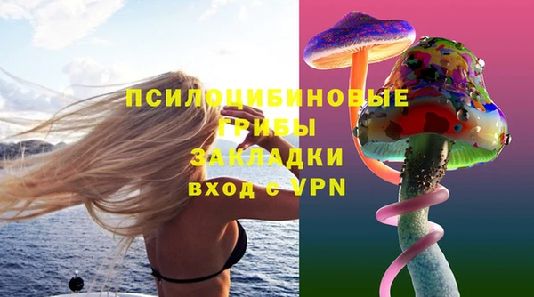 spice Гусь-Хрустальный