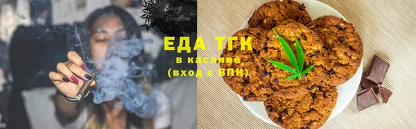 spice Гусев