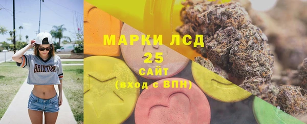 spice Гусь-Хрустальный