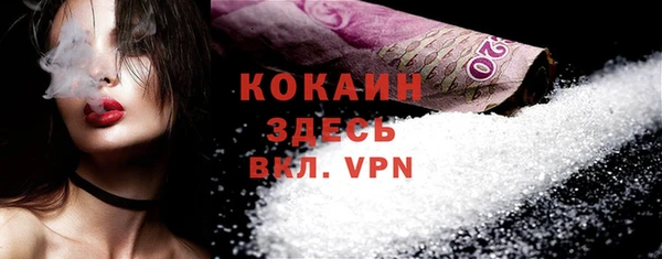 spice Гусев